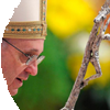 En todo amar y servir