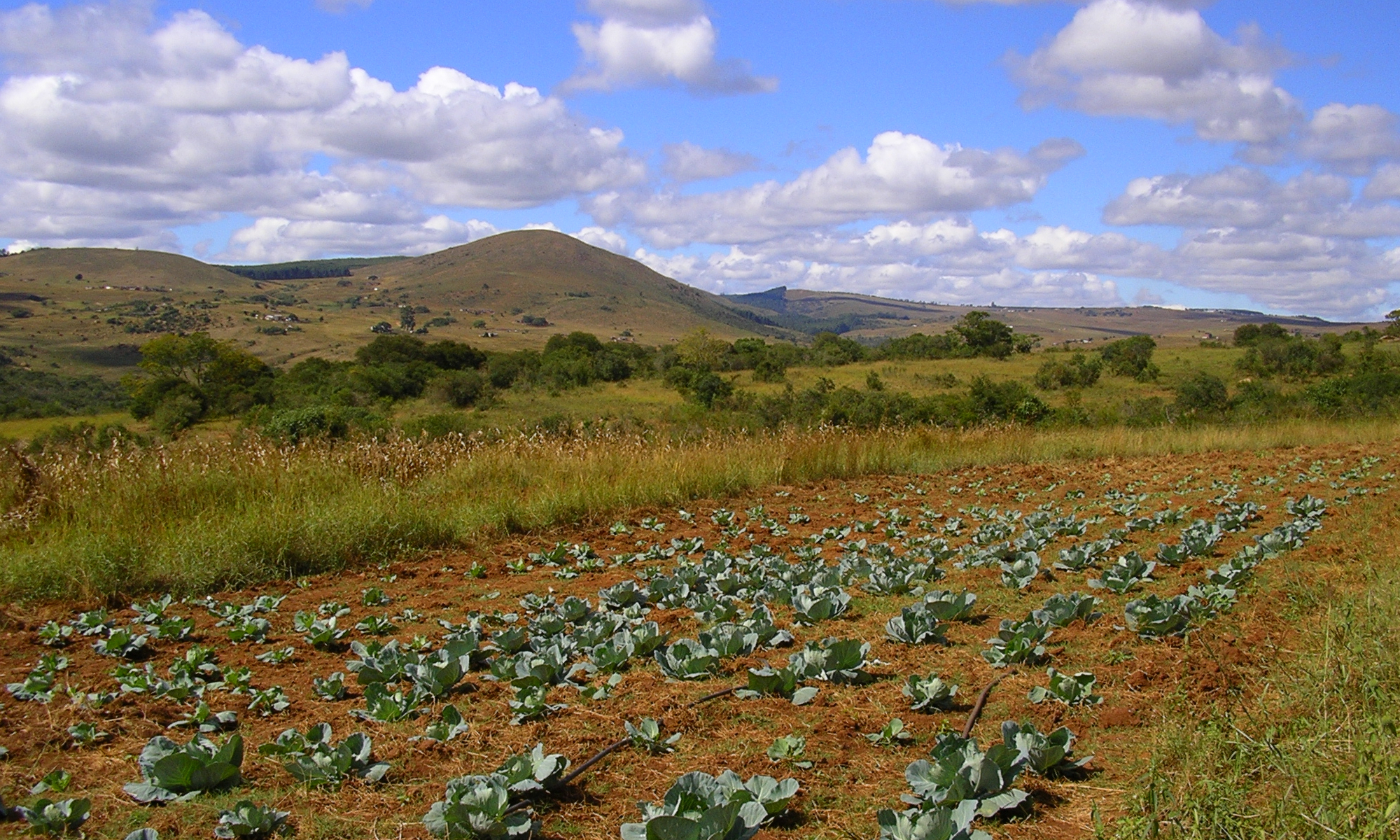 Laudato Si'