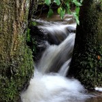 IMG_5825 (2)