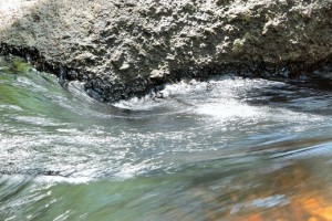 IMG_2288